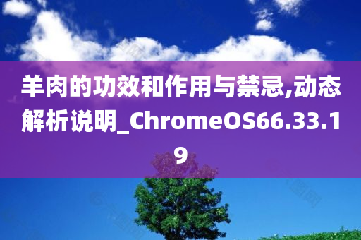 羊肉的功效和作用与禁忌,动态解析说明_ChromeOS66.33.19