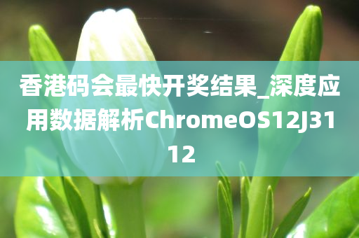 香港码会最快开奖结果_深度应用数据解析ChromeOS12J3112