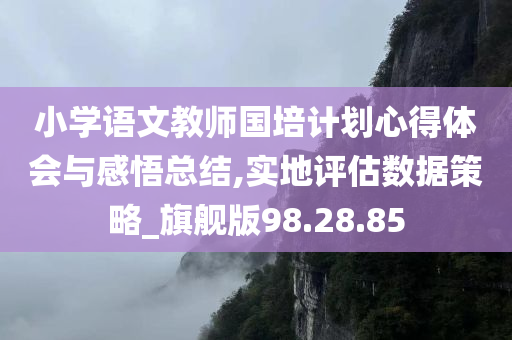 小学语文教师国培计划心得体会与感悟总结,实地评估数据策略_旗舰版98.28.85