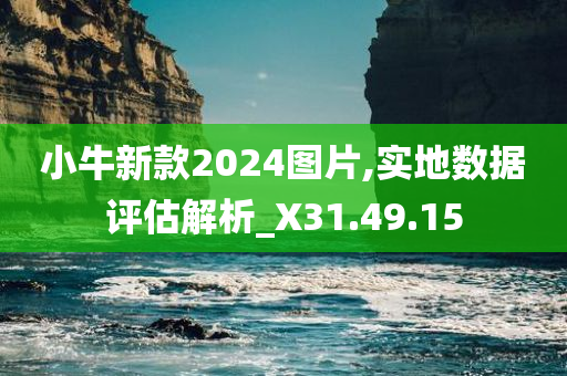 小牛新款2024图片,实地数据评估解析_X31.49.15