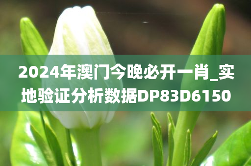 2024年澳门今晚必开一肖_实地验证分析数据DP83D6150