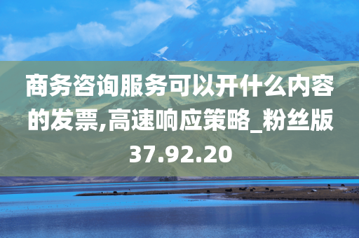 商务咨询服务可以开什么内容的发票,高速响应策略_粉丝版37.92.20