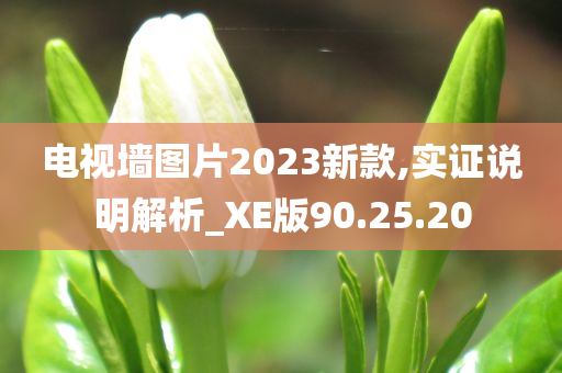 电视墙图片2023新款,实证说明解析_XE版90.25.20