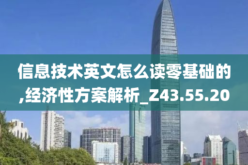 信息技术英文怎么读零基础的,经济性方案解析_Z43.55.20