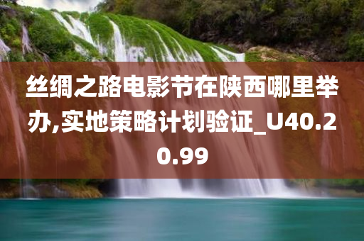 丝绸之路电影节在陕西哪里举办,实地策略计划验证_U40.20.99