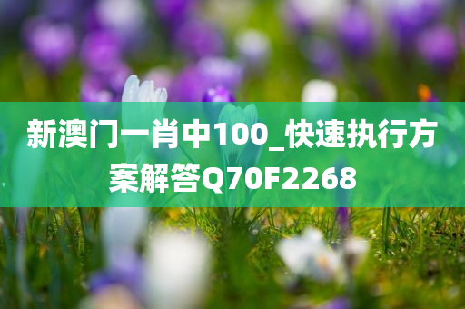 新澳门一肖中100_快速执行方案解答Q70F2268