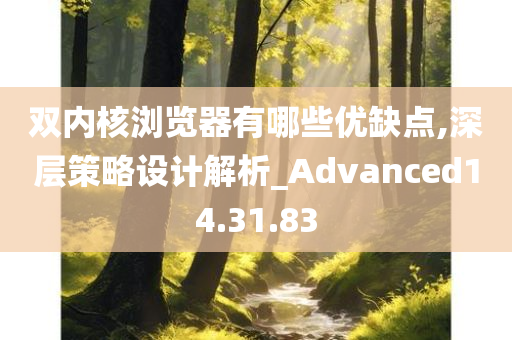 双内核浏览器有哪些优缺点,深层策略设计解析_Advanced14.31.83