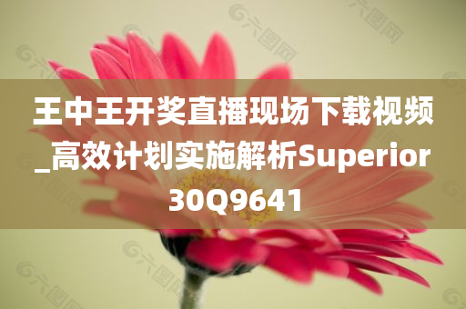 王中王开奖直播现场下载视频_高效计划实施解析Superior30Q9641