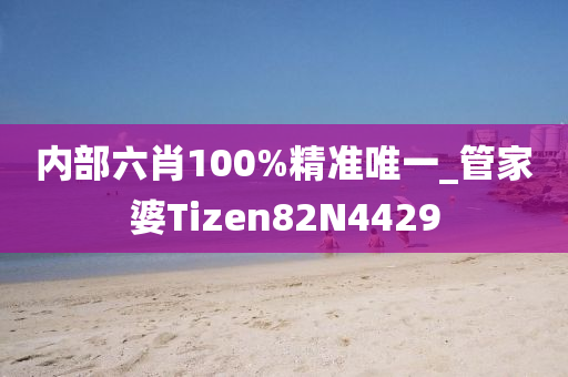 内部六肖100%精准唯一_管家婆Tizen82N4429