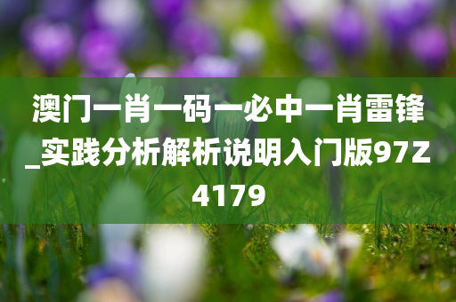 澳门一肖一码一必中一肖雷锋_实践分析解析说明入门版97Z4179