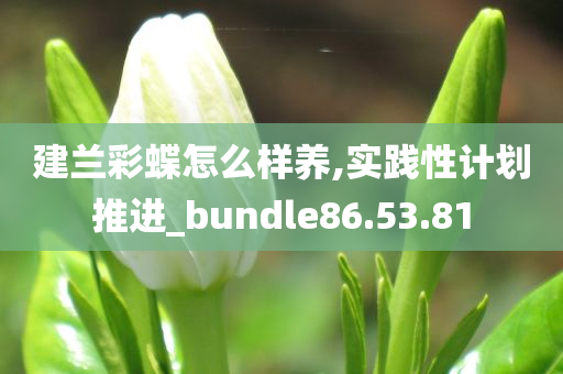 建兰彩蝶怎么样养,实践性计划推进_bundle86.53.81