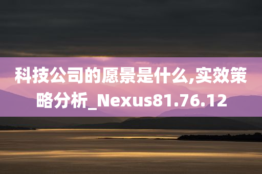 科技公司的愿景是什么,实效策略分析_Nexus81.76.12