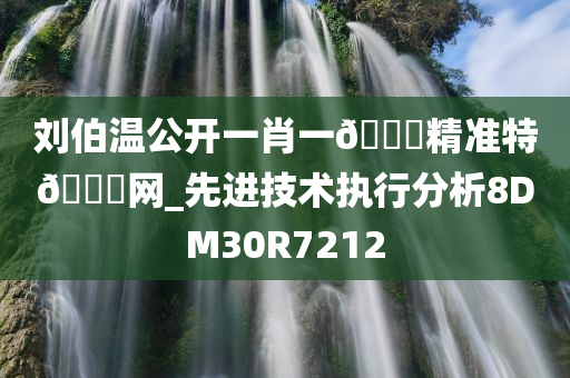 刘伯温公开一肖一🐎精准特🐎网_先进技术执行分析8DM30R7212