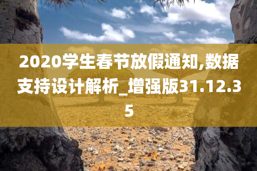 2020学生春节放假通知,数据支持设计解析_增强版31.12.35