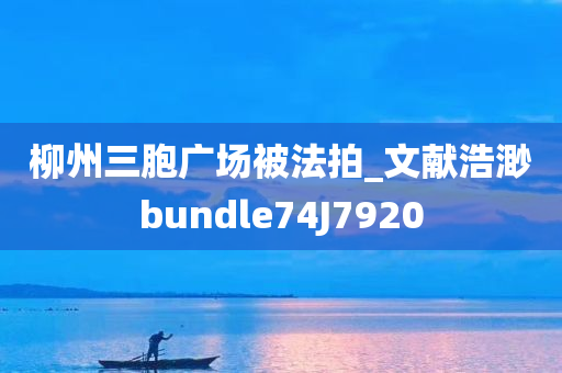 柳州三胞广场被法拍_文献浩渺bundle74J7920