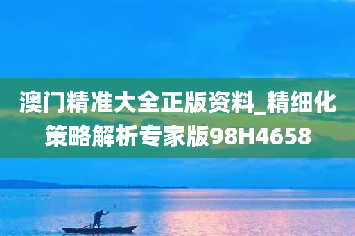 澳门精准大全正版资料_精细化策略解析专家版98H4658