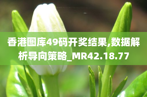 香港图库49码开奖结果,数据解析导向策略_MR42.18.77