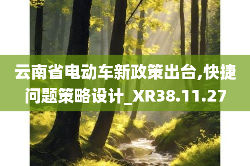 云南省电动车新政策出台,快捷问题策略设计_XR38.11.27