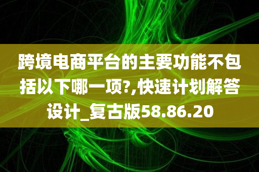 跨境电商平台的主要功能不包括以下哪一项?,快速计划解答设计_复古版58.86.20