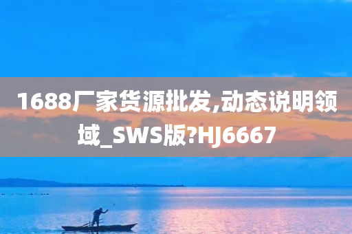 1688厂家货源批发,动态说明领域_SWS版?HJ6667