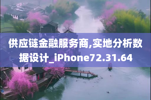 供应链金融服务商,实地分析数据设计_iPhone72.31.64