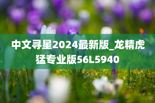 中文寻星2024最新版_龙精虎猛专业版56L5940