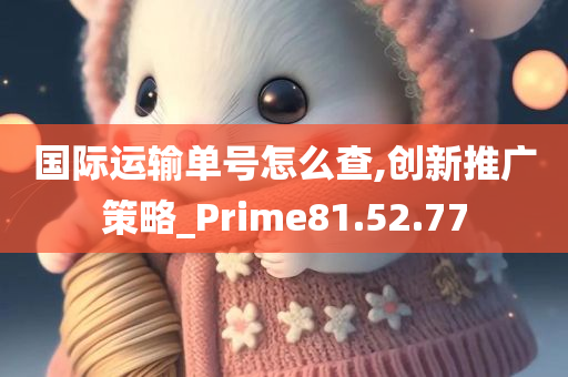 国际运输单号怎么查,创新推广策略_Prime81.52.77