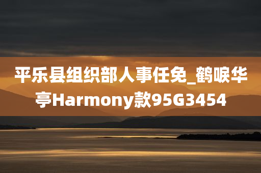 平乐县组织部人事任免_鹤唳华亭Harmony款95G3454