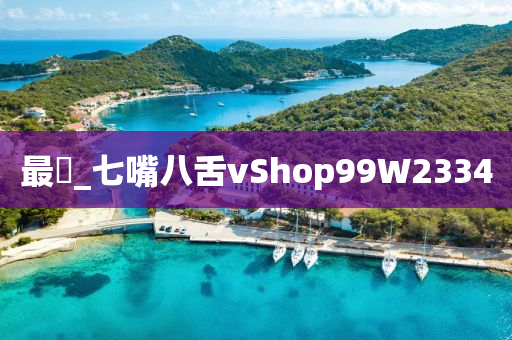 最閩_七嘴八舌vShop99W2334