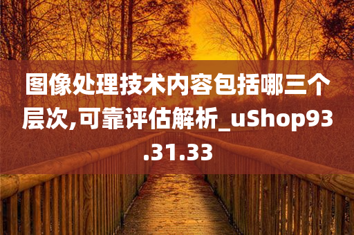 图像处理技术内容包括哪三个层次,可靠评估解析_uShop93.31.33