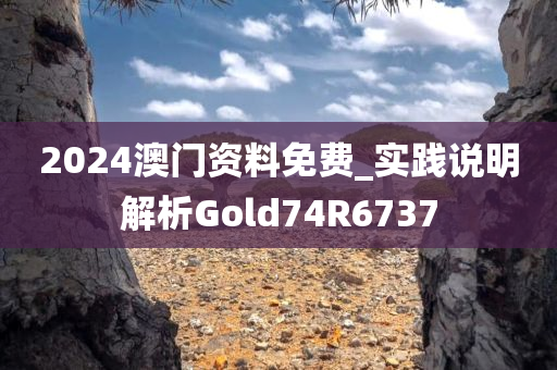 2024澳门资料免费_实践说明解析Gold74R6737