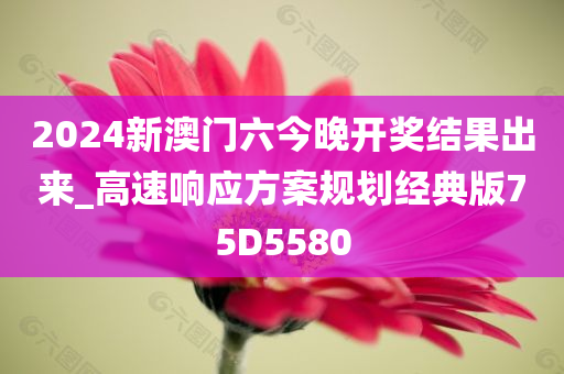 2024新澳门六今晚开奖结果出来_高速响应方案规划经典版75D5580