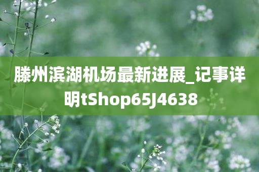 滕州滨湖机场最新进展_记事详明tShop65J4638