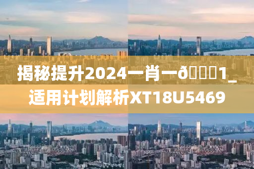 揭秘提升2024一肖一🐎1_适用计划解析XT18U5469