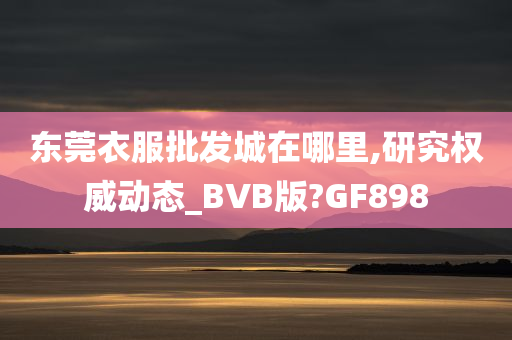 东莞衣服批发城在哪里,研究权威动态_BVB版?GF898