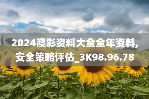 2024澳彩资料大全全年资料,安全策略评估_3K98.96.78