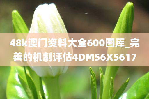 48k澳门资料大全600图库_完善的机制评估4DM56X5617