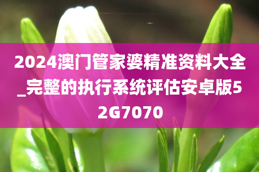 2024澳门管家婆精准资料大全_完整的执行系统评估安卓版52G7070