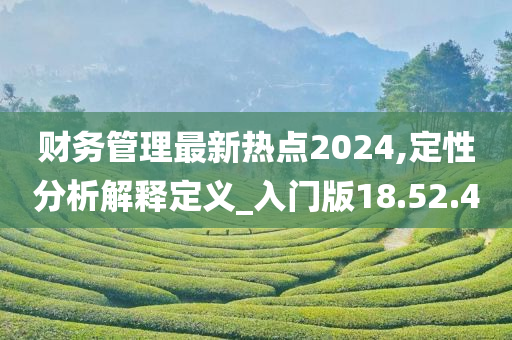 财务管理最新热点2024,定性分析解释定义_入门版18.52.40