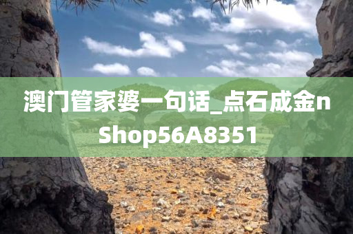 澳门管家婆一句话_点石成金nShop56A8351