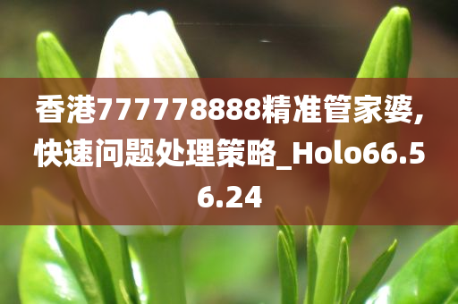 香港777778888精准管家婆,快速问题处理策略_Holo66.56.24