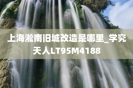 上海淞南旧城改造是哪里_学究天人LT95M4188