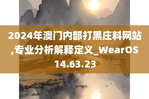 2024年澳门内部打黑庄料网站,专业分析解释定义_WearOS14.63.23