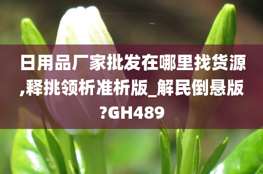 日用品厂家批发在哪里找货源,释挑领析准析版_解民倒悬版?GH489