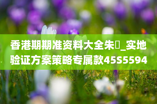 香港期期准资料大全朱門_实地验证方案策略专属款45S5594