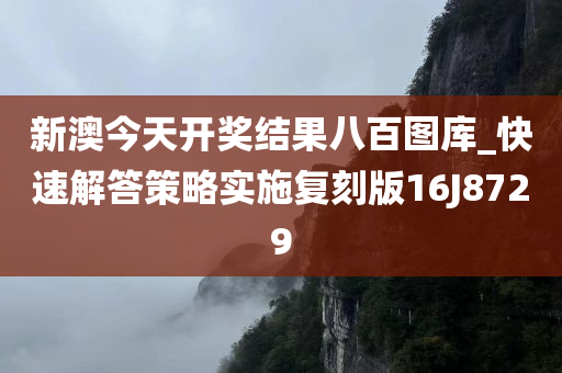 新澳今天开奖结果八百图库_快速解答策略实施复刻版16J8729