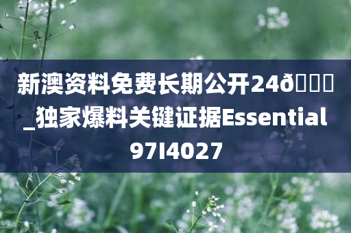 新澳资料免费长期公开24🐎_独家爆料关键证据Essential97I4027