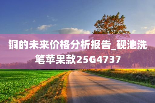 铜的未来价格分析报告_砚池洗笔苹果款25G4737