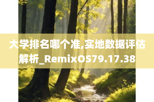 大学排名哪个准,实地数据评估解析_RemixOS79.17.38