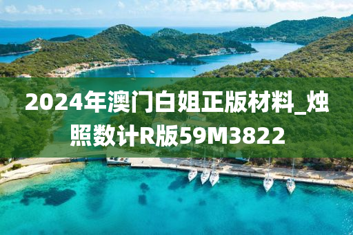 2024年澳门白姐正版材料_烛照数计R版59M3822